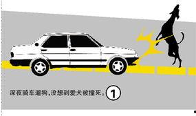 湛江最新爆料撞车,惊心动魄的撞车现场! 第2张 湛江最新爆料撞车,惊心动魄的撞车现场! 第2张